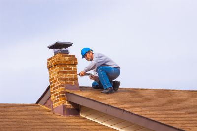 Professional Chimney Inspection